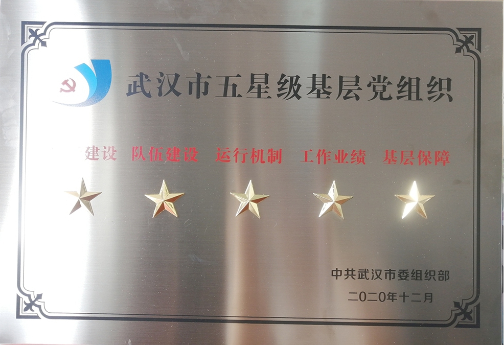beat365党委荣获“武汉市五星级党组织”荣誉称号