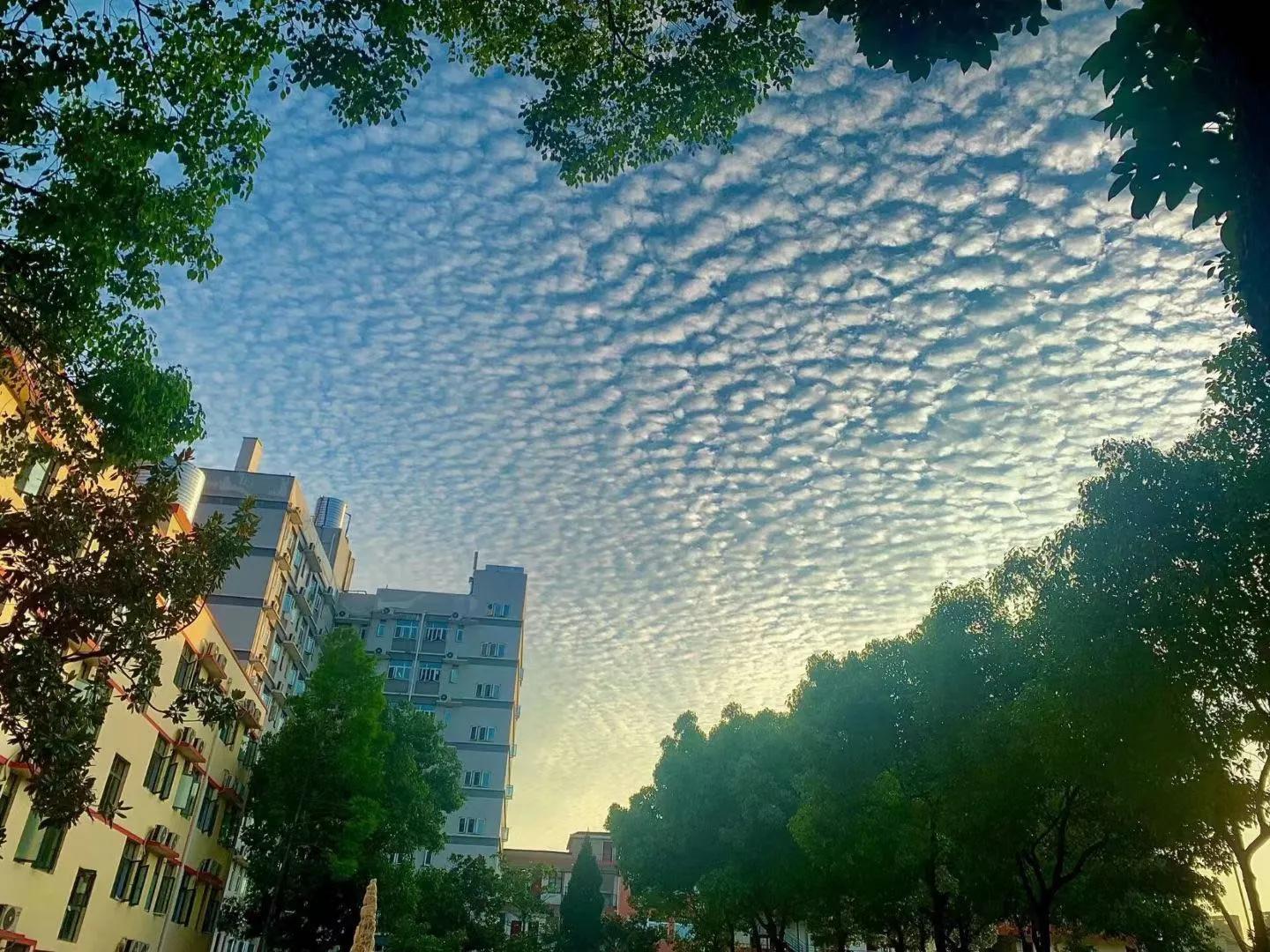 毕业进国企，福利好，待遇高；beat365英国官方网站学生很“清高