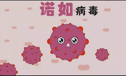 get诺如病毒相关知识 get诺如病毒相关知识