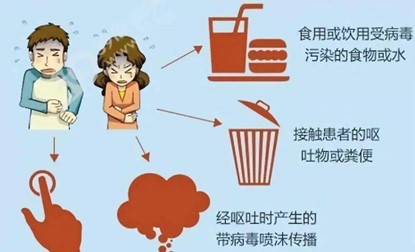 get诺如病毒相关知识 get诺如病毒相关知识