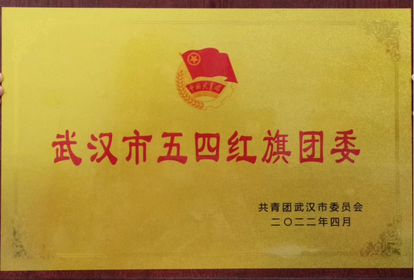 喜报！beat365团委工作荣获武汉市和武昌区五四表彰多项荣誉